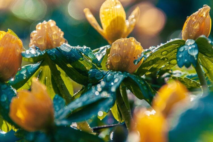 Quand nous apprenons à sourire au milieu des jours fissurés