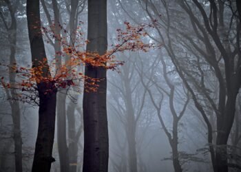 Travailler comme voie spirituelle