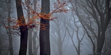 Travailler comme voie spirituelle