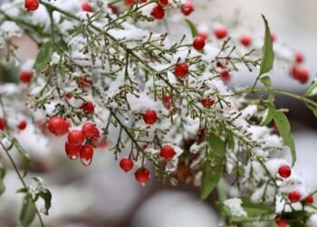 Attendre, ou la forme silencieuse de l’espérance