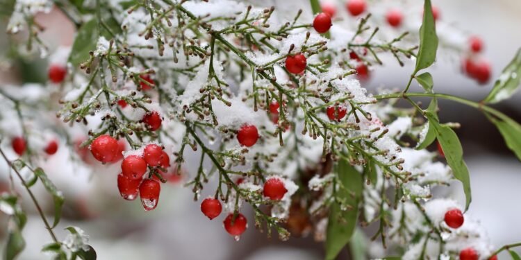 Attendre, ou la forme silencieuse de l’espérance