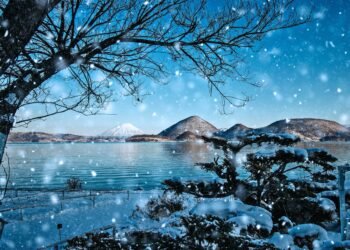 Apprendre à vivre plus légèrement face à l’impuissance