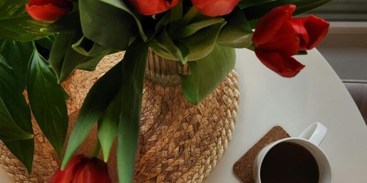 Apprendre à renaître après la tempête