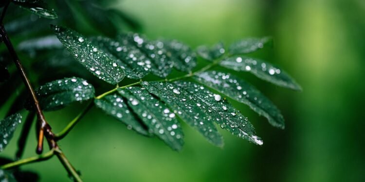 Ceux qui marchent à contre-courant