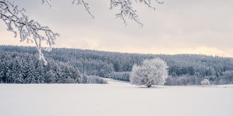 Il faut parfois traverser la tempête pour continuer à vivre