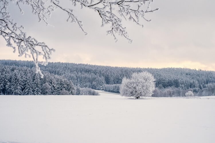 Il faut parfois traverser la tempête pour continuer à vivre