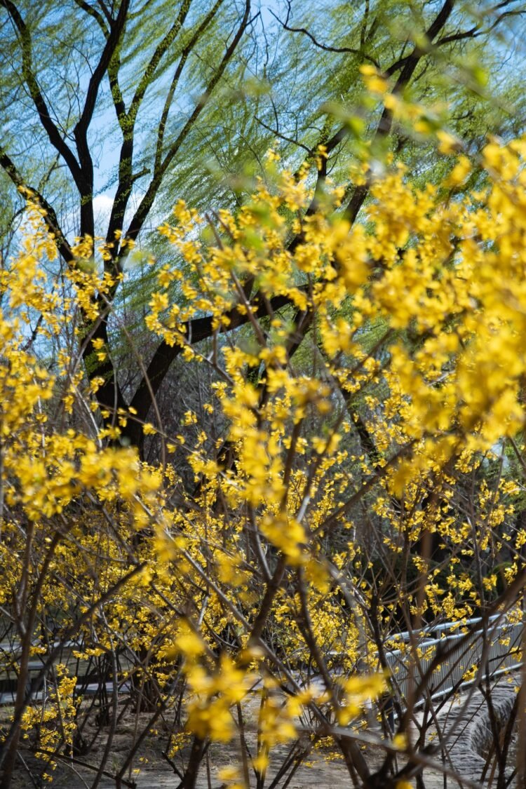 Grandir lentement : un voyage intérieur vers une vie plus consciente