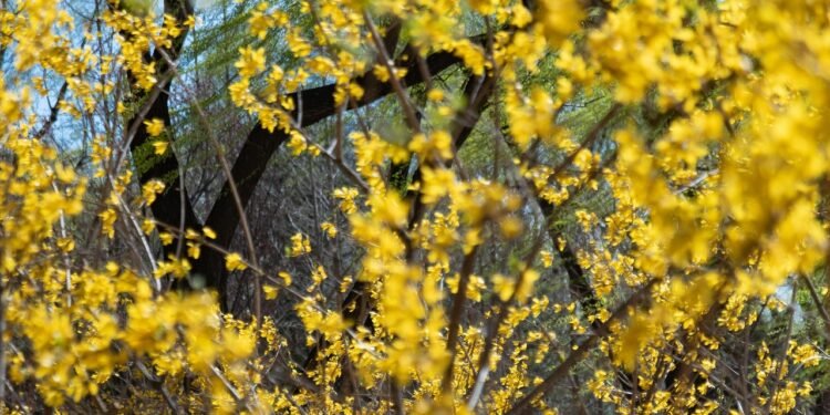 Grandir lentement : un voyage intérieur vers une vie plus consciente