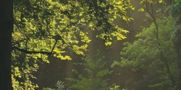 On ne peut pas corriger le regard des autres sans se perdre soi-même