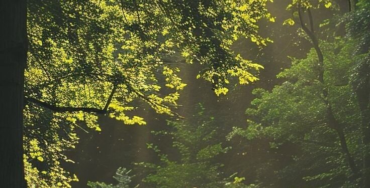 On ne peut pas corriger le regard des autres sans se perdre soi-même