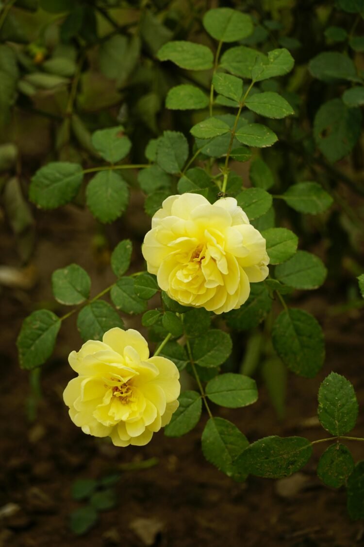 Le jour viendra où nous sourirons en repensant à ce que nous n’avons pas abandonné