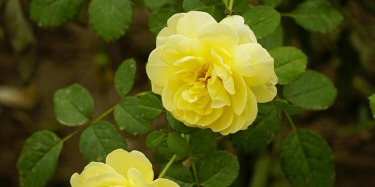 Le jour viendra où nous sourirons en repensant à ce que nous n’avons pas abandonné