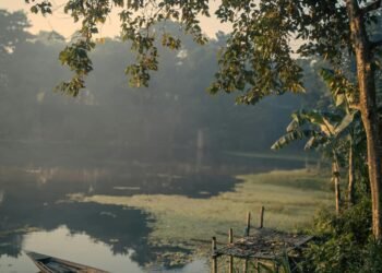 Certains se battent pour vous, d’autres choisissent de renoncer