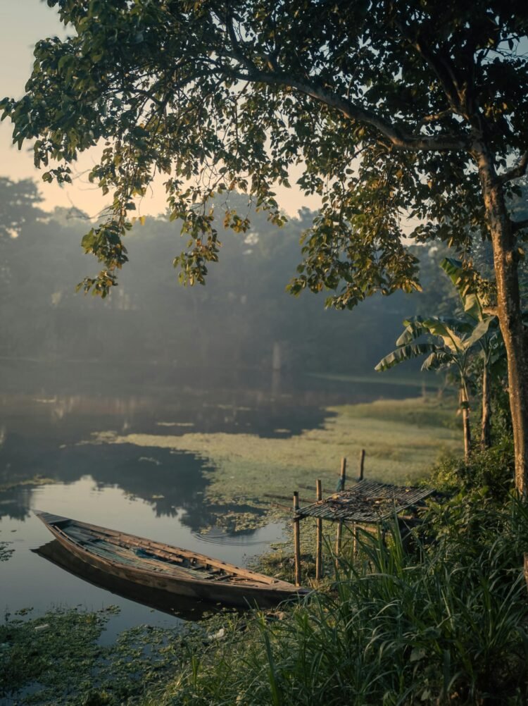 Certains se battent pour vous, d’autres choisissent de renoncer