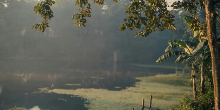 Certains se battent pour vous, d’autres choisissent de renoncer