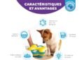 Jouet chien interactif pas cher : top 5 vraiment utiles pour stimuler sans se ruiner